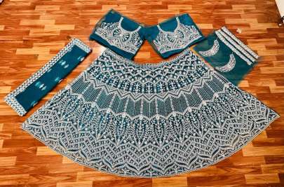 BUTTERFLY NET WITH HAVEY CHAIN WORK Lehenga Choli All