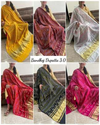 Banno Dupatta vol 3.0 premium Dupatta
