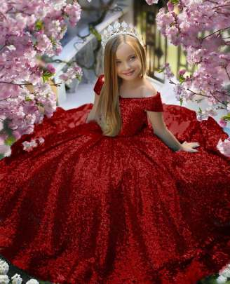 Gorgeous Allover Sequence Work Gown gown