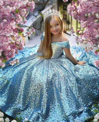 Gorgeous Allover Sequence Work Gown gown