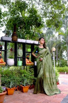 ZARI WIVING SAREE