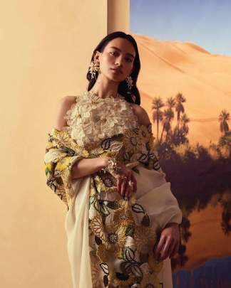 khushi Party wear saree