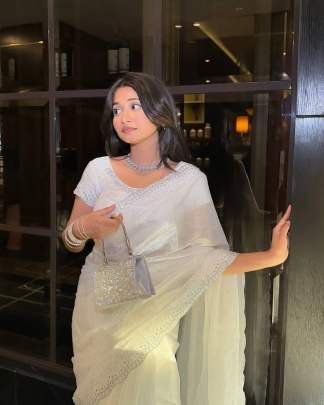 lilima Party wear saree