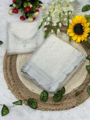 lilima Party wear saree