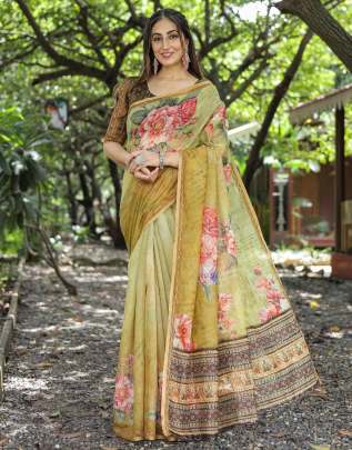 meenakshi Party wear saree