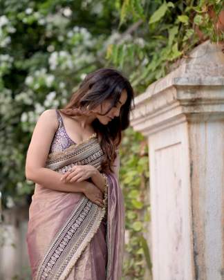premium designer saree
