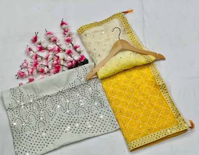 sadhna Party wear saree