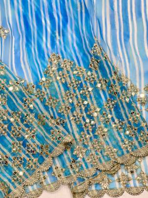 saniya Party wear saree